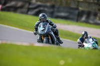 Oulton-Park-21st-March-2020;PJ-Motorsport-Photography-2020;anglesey;brands-hatch;cadwell-park;croft;donington-park;enduro-digital-images;event-digital-images;eventdigitalimages;mallory;no-limits;oulton-park;peter-wileman-photography;racing-digital-images;silverstone;snetterton;trackday-digital-images;trackday-photos;vmcc-banbury-run;welsh-2-day-enduro